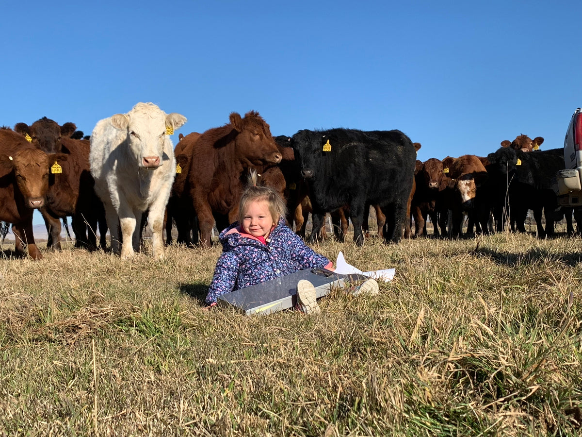 A little one sitting in the grass with the family’s cattle behind her