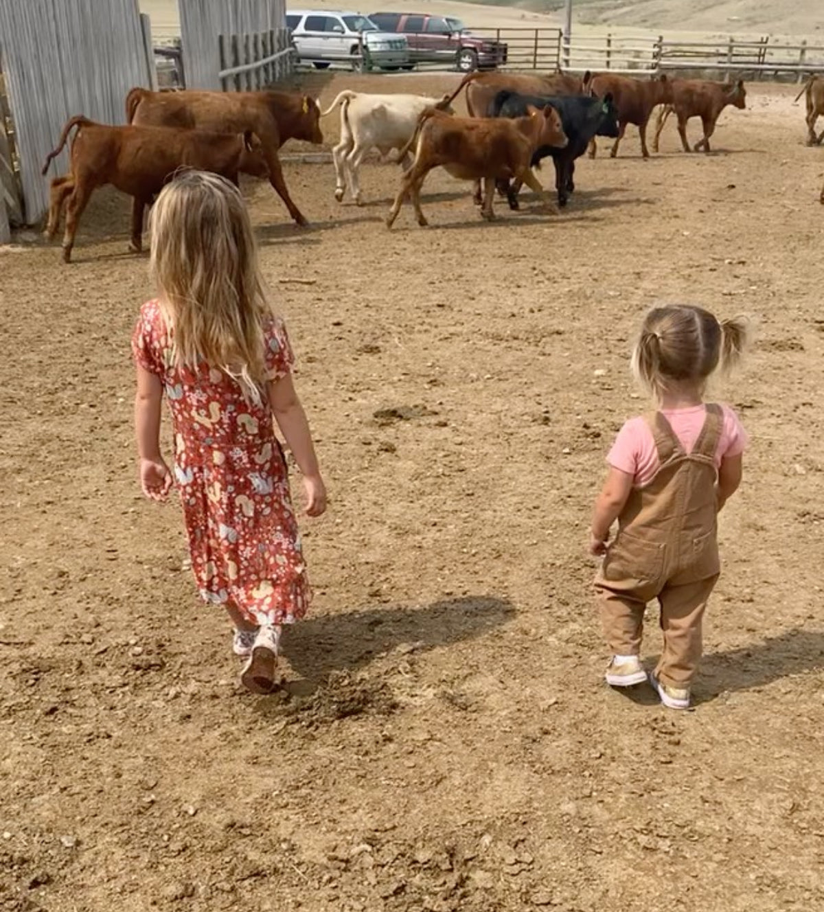 The next generation watching cattle at the family ranch