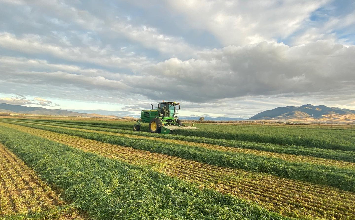 Hay being harvested under Montana skies
